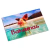 Magnet frigider sublimabil (10x15cm)