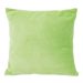 Verde Shrek