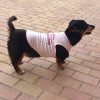 Tricou pentru câini sublimabil - ROZ
